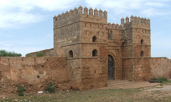 Esiti del Workshop internazionale 